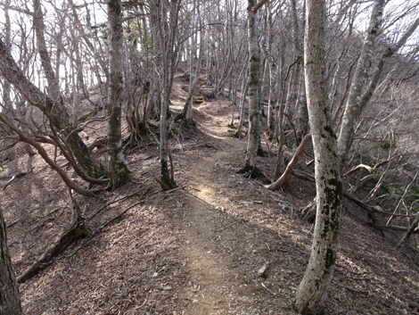 20190108hike (356)